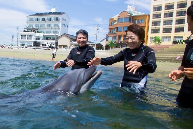イルカと遊ぼう日間賀島